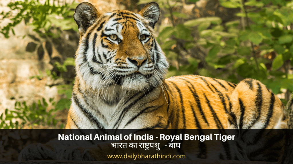 National Animal of India