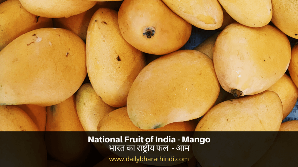 National Fruit of India