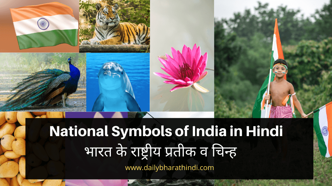 National Symbols Of India In Hindi 