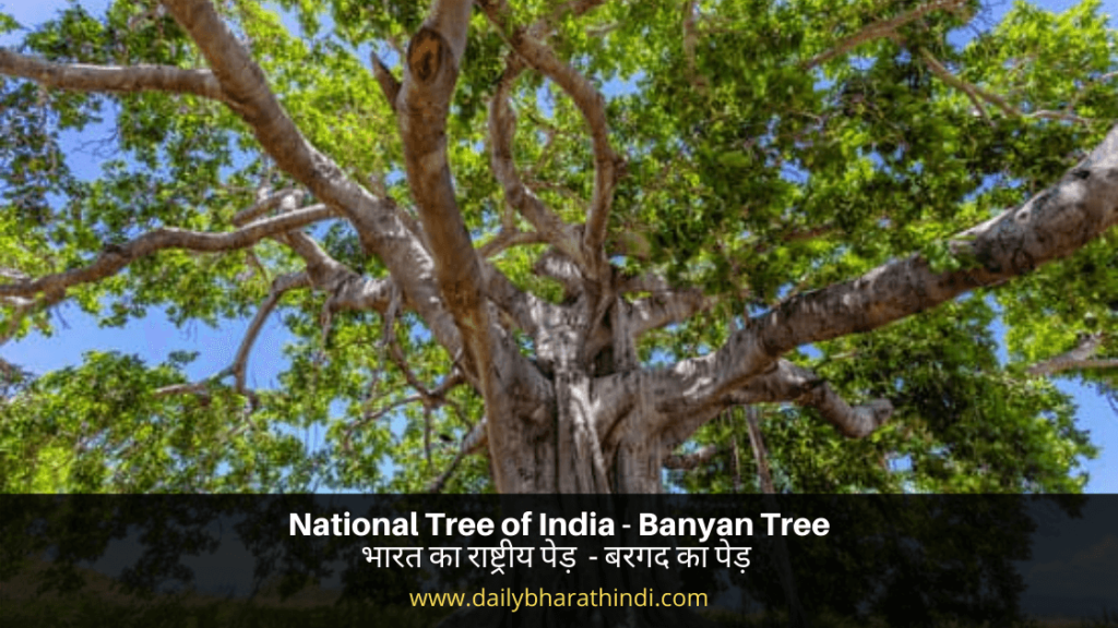 भारत का राष्ट्रीय पेड़