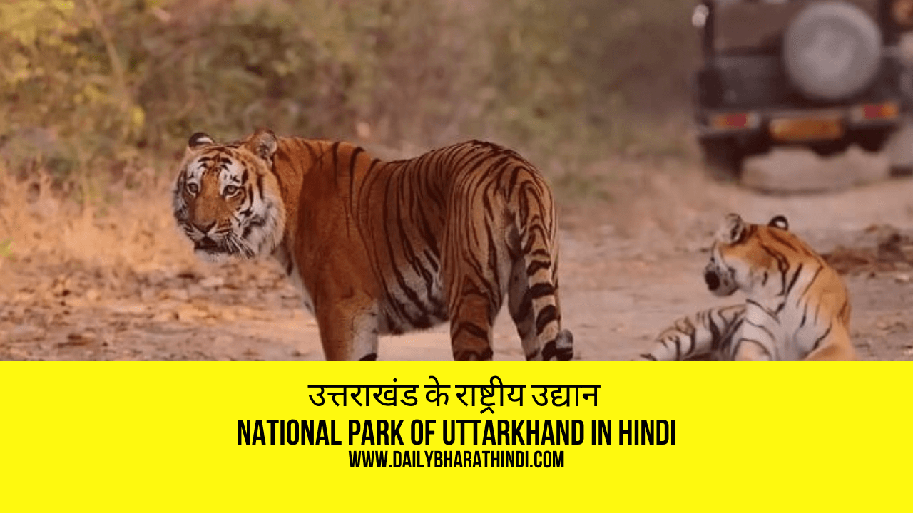tiger in jim corbett national park - उत्तराखंड के राष्ट्रीय उद्यान
