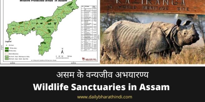 19 wildlife sanctuaries of Assam in Hindi | असम के वन्यजीव अभयारण्य की सूची